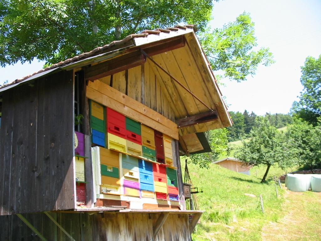 Apartamento Haus Am Eckle Kleines Wiesental Exterior foto