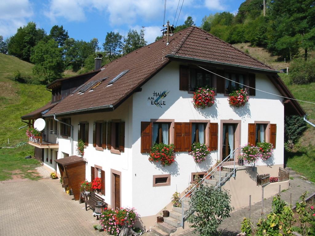 Apartamento Haus Am Eckle Kleines Wiesental Exterior foto